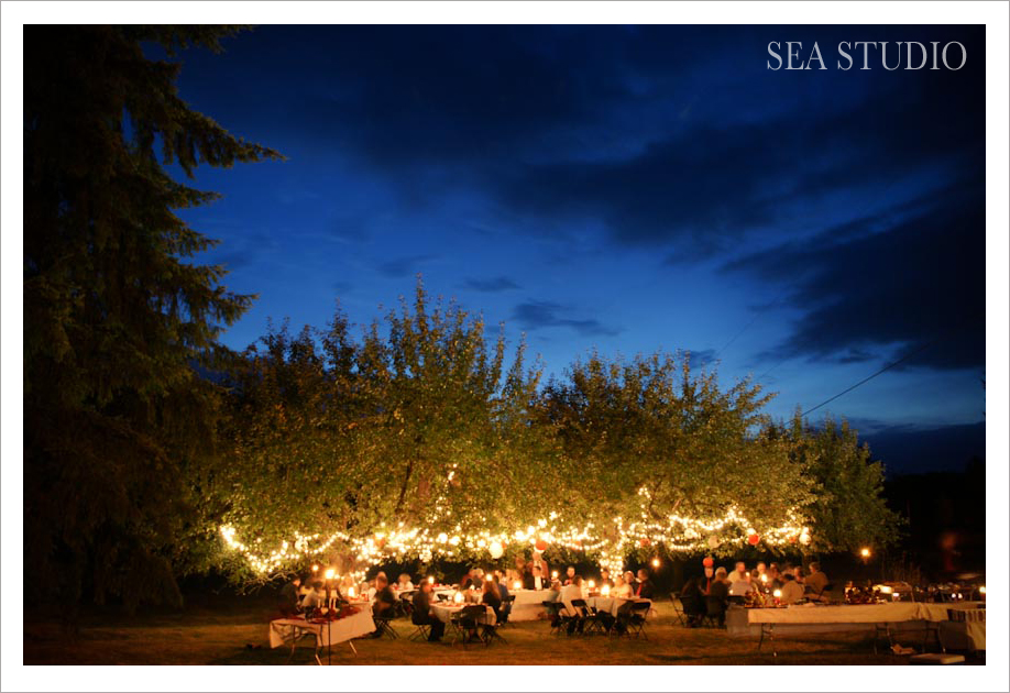 Seattle Wedding Photographers - Sea Studio