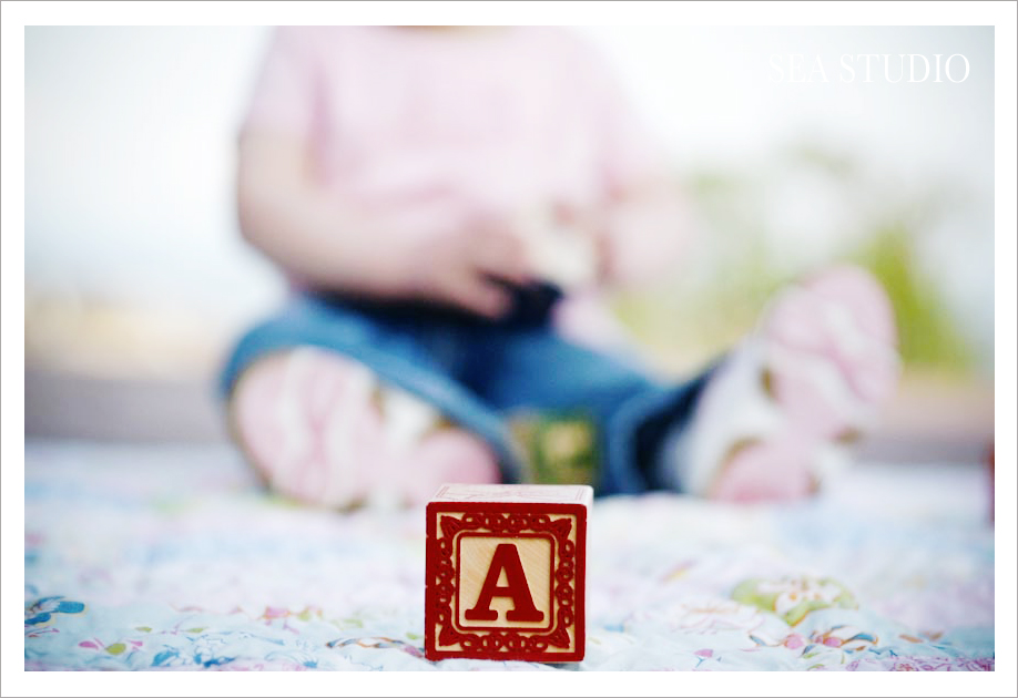 Seattle Wedding and Portrait Photographers - Sea Studio