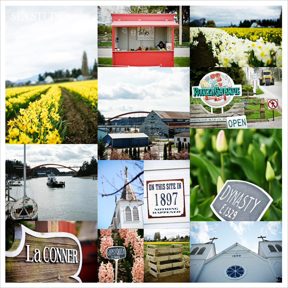 Seattle Wedding and Portrait Photographers - Sea Studio