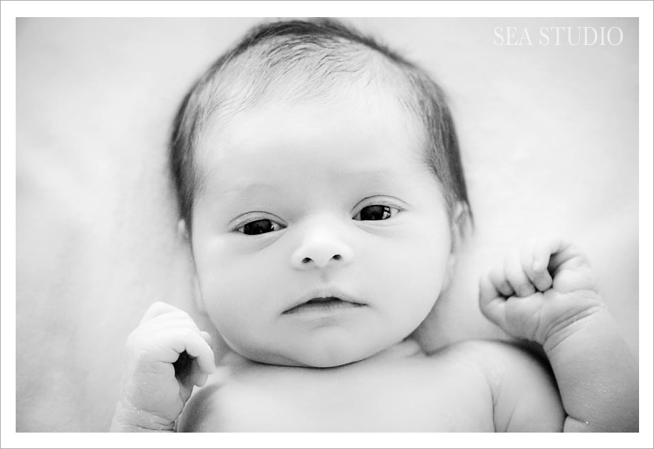Seattle Wedding and Portrait Photographers - Sea Studio