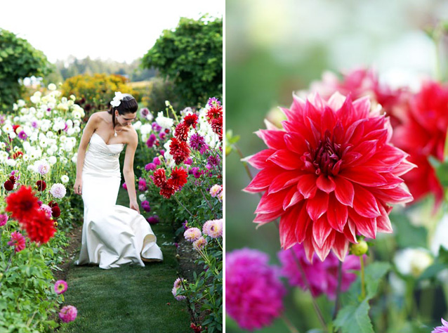 Seattle Wedding and Portrait Photographers - Sea Studio