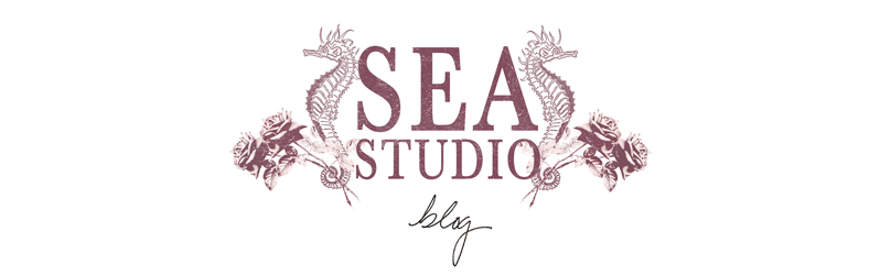 Sea Studio Blog logo