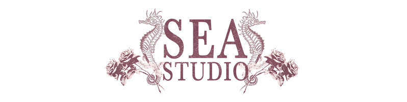 Sea Studio Blog logo